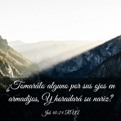 Picture 03 - Job 40:24 RVA - ¿Tomarálo alguno por sus ojos en armadijos, Y - Bible Verse Picture