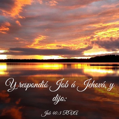 Picture 03 - Job 40:3 RVA - Y respondió Job á Jehová, y - Bible Verse Picture