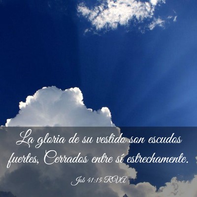 Picture 03 - Job 41:15 RVA - La gloria de su vestido son escudos fuertes, - Bible Verse Picture