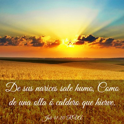 Picture 03 - Job 41:20 RVA - De sus narices sale humo, Como de una olla ó - Bible Verse Picture