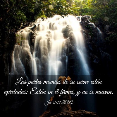 Picture 03 - Job 41:23 RVA - Las partes momias de su carne están apretadas: - Bible Verse Picture