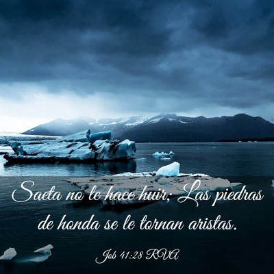 Picture 03 - Job 41:28 RVA - Saeta no le hace huir; Las piedras de honda se le - Bible Verse Picture
