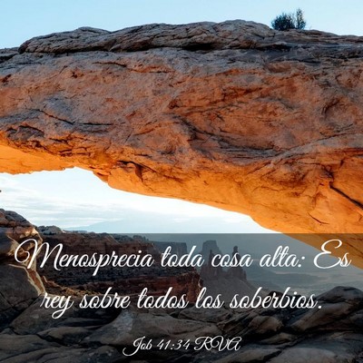 Picture 03 - Job 41:34 RVA - Menosprecia toda cosa alta: Es rey sobre todos - Bible Verse Picture