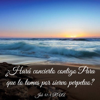 Picture 03 - Job 41:4 RVA - ¿Hará concierto contigo Para que lo tomes por - Bible Verse Picture