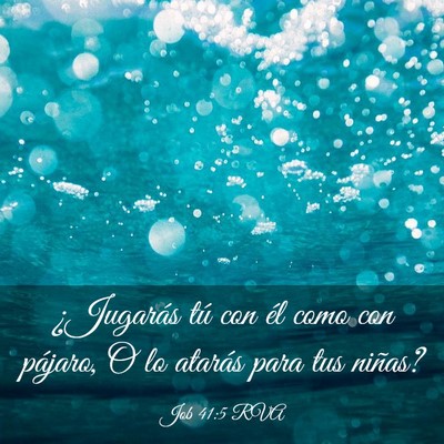 Picture 03 - Job 41:5 RVA - ¿Jugarás tú con él como con pájaro, O lo - Bible Verse Picture