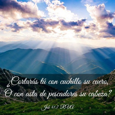 Picture 03 - Job 41:7 RVA - ¿Cortarás tú con cuchillo su cuero, O con asta - Bible Verse Picture