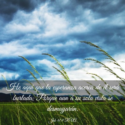 Picture 03 - Job 41:9 RVA - He aquí que la esperanza acerca de él será - Bible Verse Picture
