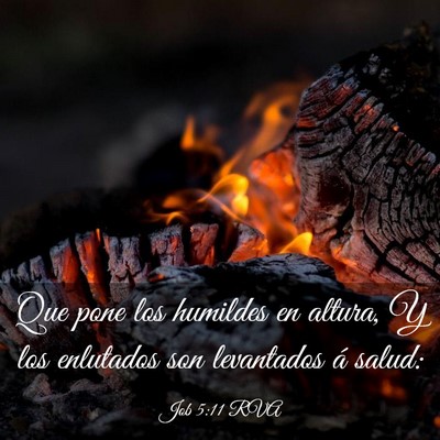 Picture 03 - Job 5:11 RVA - Que pone los humildes en altura, Y los enlutados - Bible Verse Picture