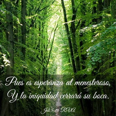 Picture 03 - Job 5:16 RVA - Pues es esperanza al menesteroso, Y la iniquidad - Bible Verse Picture