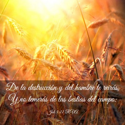 Picture 03 - Job 5:22 RVA - De la destrucción y del hambre te reirás, Y no - Bible Verse Picture