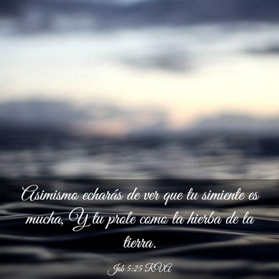Picture 03 - Job 5:25 RVA - Asimismo echarás de ver que tu simiente es - Bible Verse Picture