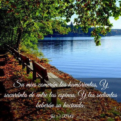 Picture 03 - Job 5:5 RVA - Su mies comerán los hambrientos, Y sacaránla de - Bible Verse Picture