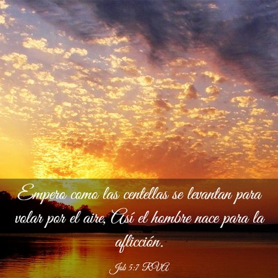 Picture 03 - Job 5:7 RVA - Empero como las centellas se levantan para volar - Bible Verse Picture