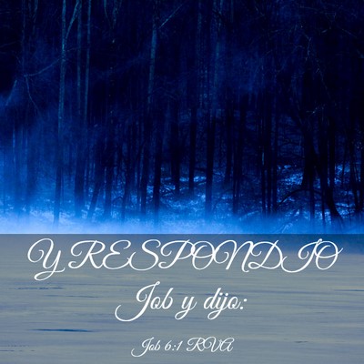 Picture 03 - Job 6:1 RVA - Y RESPONDIO Job y - Bible Verse Picture