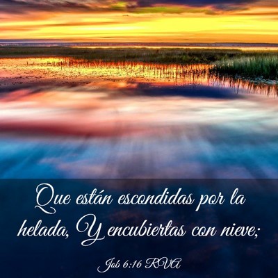 Picture 03 - Job 6:16 RVA - Que están escondidas por la helada, Y - Bible Verse Picture