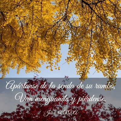 Picture 03 - Job 6:18 RVA - Apártanse de la senda de su rumbo, Van menguando - Bible Verse Picture