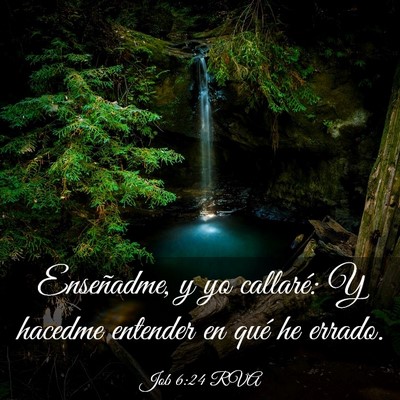 Picture 03 - Job 6:24 RVA - Enseñadme, y yo callaré: Y hacedme entender en - Bible Verse Picture