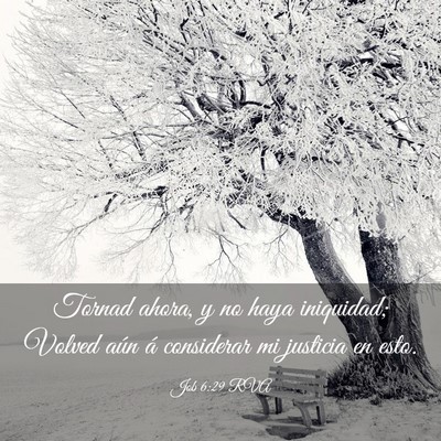 Picture 03 - Job 6:29 RVA - Tornad ahora, y no haya iniquidad; Volved aún á - Bible Verse Picture