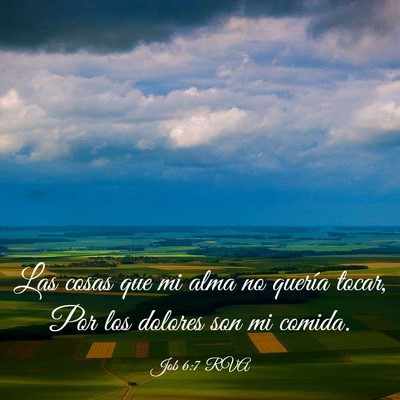 Picture 03 - Job 6:7 RVA - Las cosas que mi alma no quería tocar, Por los - Bible Verse Picture
