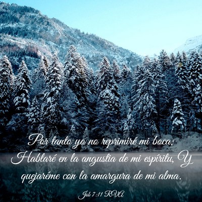 Picture 03 - Job 7:11 RVA - Por tanto yo no reprimiré mi boca; Hablaré en - Bible Verse Picture