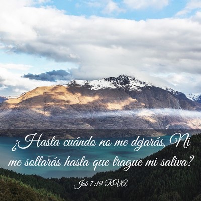 Picture 03 - Job 7:19 RVA - ¿Hasta cuándo no me dejarás, Ni me soltarás - Bible Verse Picture
