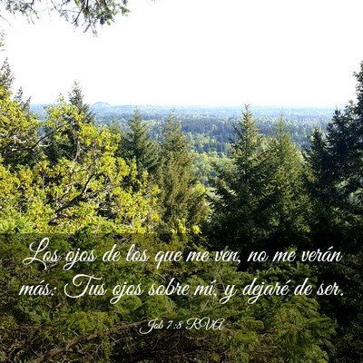 Picture 03 - Job 7:8 RVA - Los ojos de los que me ven, no me verán más: - Bible Verse Picture