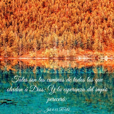 Picture 03 - Job 8:13 RVA - Tales son los caminos de todos los que olvidan á - Bible Verse Picture