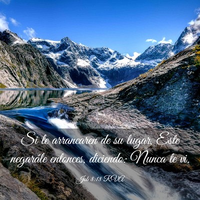 Picture 03 - Job 8:18 RVA - Si le arrancaren de su lugar, Este negarále - Bible Verse Picture