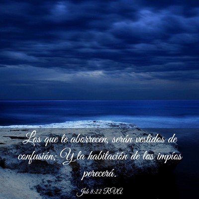 Picture 03 - Job 8:22 RVA - Los que te aborrecen, serán vestidos de - Bible Verse Picture