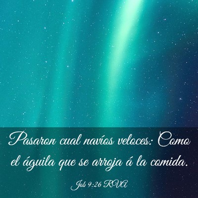 Picture 03 - Job 9:26 RVA - Pasaron cual navíos veloces: Como el águila que - Bible Verse Picture
