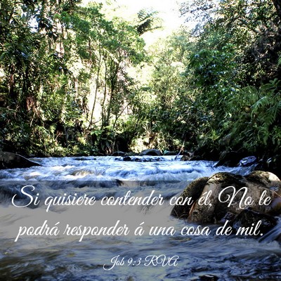 Picture 03 - Job 9:3 RVA - Si quisiere contender con él, No le podrá - Bible Verse Picture