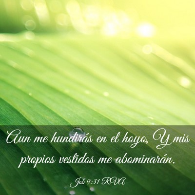 Picture 03 - Job 9:31 RVA - Aun me hundirás en el hoyo, Y mis propios - Bible Verse Picture