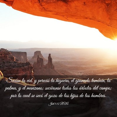 Picture 03 - Joel 1:12 RVA - Secóse la vid, y pereció la higuera, el granado - Bible Verse Picture