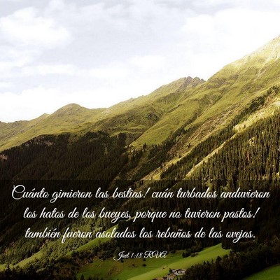 Picture 03 - Joel 1:18 RVA - Cuánto gimieron las bestias! ­cuán turbados - Bible Verse Picture