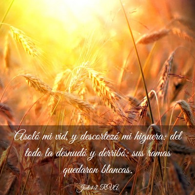 Picture 03 - Joel 1:7 RVA - Asoló mi vid, y descortezó mi higuera: del todo - Bible Verse Picture