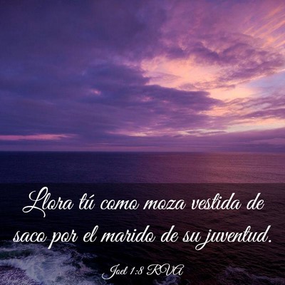 Picture 03 - Joel 1:8 RVA - Llora tú como moza vestida de saco por el marido - Bible Verse Picture