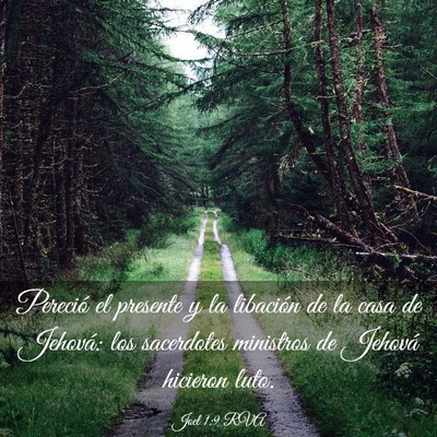 Picture 03 - Joel 1:9 RVA - Pereció el presente y la libación de la casa de - Bible Verse Picture
