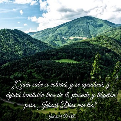 Picture 03 - Joel 2:14 RVA - ¿Quién sabe si volverá, y se apiadará, y - Bible Verse Picture