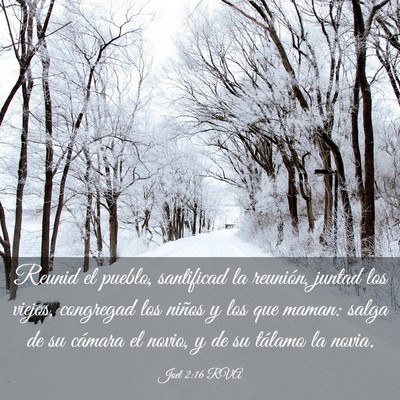 Picture 03 - Joel 2:16 RVA - Reunid el pueblo, santificad la reunión, juntad - Bible Verse Picture