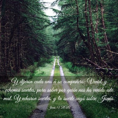 Picture 03 - Jonás 1:7 RVA - Y dijeron cada uno á su compañero: Venid, y - Bible Verse Picture