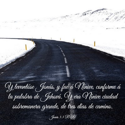Picture 03 - Jonás 3:3 RVA - Y levantóse Jonás, y fué á Nínive, conforme - Bible Verse Picture