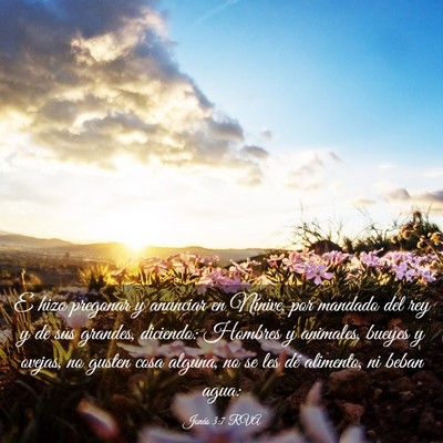 Picture 03 - Jonás 3:7 RVA - E hizo pregonar y anunciar en Nínive, por - Bible Verse Picture