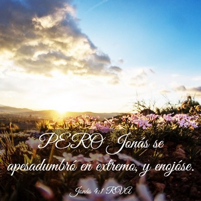Picture 03 - Jonás 4:1 RVA - PERO Jonás se apesadumbró en extremo, y - Bible Verse Picture