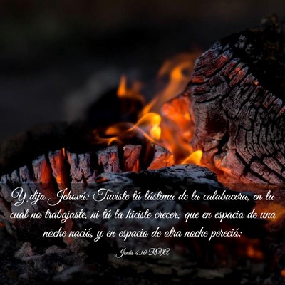 Picture 03 - Jonás 4:10 RVA - Y dijo Jehová: Tuviste tú lástima de la - Bible Verse Picture