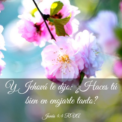 Picture 03 - Jonás 4:4 RVA - Y Jehová le dijo: ¿Haces tú bien en enojarte - Bible Verse Picture