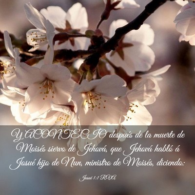 Picture 03 - Josué 1:1 RVA - Y ACONTECIO después de la muerte de Moisés - Bible Verse Picture