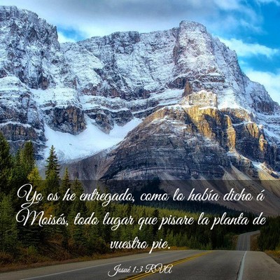 Picture 03 - Josué 1:3 RVA - Yo os he entregado, como lo había dicho á - Bible Verse Picture