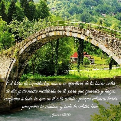 Picture 03 - Josué 1:8 RVA - El libro de aquesta ley nunca se apartará de tu - Bible Verse Picture