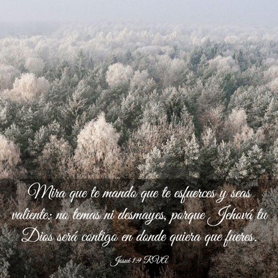 Picture 03 - Josué 1:9 RVA - Mira que te mando que te esfuerces y seas - Bible Verse Picture
