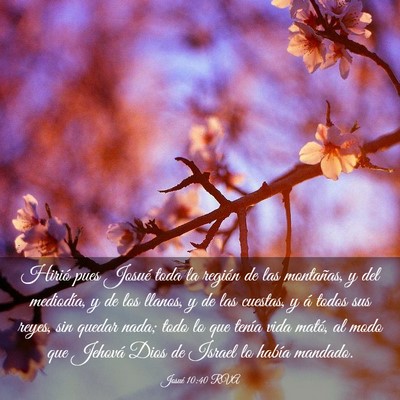 Picture 03 - Josué 10:40 RVA - Hirió pues Josué toda la región de las - Bible Verse Picture